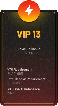 VIP 13