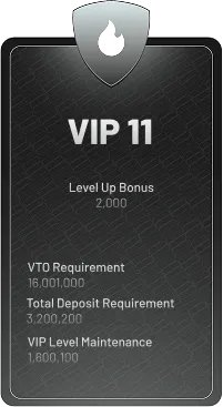 VIP 11